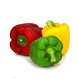 Poivrons x3 - Fruits et lgumes - Promocash Anglet