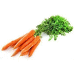 Carottes fane - Fruits et légumes - Promocash Bourgoin