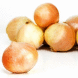 Oignons jaunes 25 kg - Fruits et lgumes - Promocash Vichy