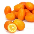 Kumquat - Fruits et légumes - Promocash NANTES REZE