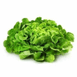 Feuille de Chêne blonde x12 - Fruits et légumes - Promocash Morlaix