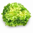 Salade Scarole - Fruits et lgumes - Promocash Colombelles
