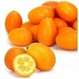 BQ 250G KUMQUAT IMP - Fruits et lgumes - Promocash Valenciennes