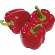 Poivrons rouges - import - catgorie 1 - Fruits et lgumes - Promocash Grasse