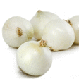 Oignon blanc botte 5 kg - Fruits et lgumes - Promocash Bergerac