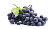 KG RAISIN NOIR FR 5KG - Fruits et lgumes - Promocash Saint-Quentin