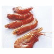 Crevettes cuites levage 40/60 2 kg - Mare - Promocash ALENCON