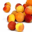 Abricots confiture 5 kg - Fruits et lgumes - Promocash Saint Etienne