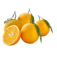 ORANGE A FEUILLE VRAC AU KG - Fruits et lgumes - Promocash Colombelles