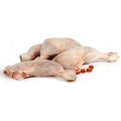 Cuisses de poulet avec dos halal 5 kg - Boucherie - Promocash Vichy