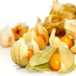 Physalis 100 g - Fruits et légumes - Promocash Saumur