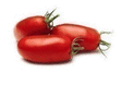 KG TOMATE ALLONG TORINO FR 7KG - Fruits et lgumes - Promocash Pontarlier