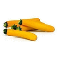 Courgettes jaunes 7 kg - Fruits et lgumes - Promocash Lons le Saunier