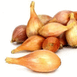 Echalotes 5 kg - Fruits et lgumes - Promocash ALENCON