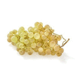 BIO RAISIN CHASSELAS 500G FR - Fruits et lgumes - Promocash Rodez