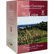 Saumur Champigny - Domaine de la Perruche 13° 5 l - Vins - champagnes - Promocash Fougères