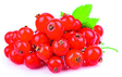 125G GROSEILLE BARQUETTE UE - Fruits et légumes - Promocash Albi