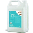 Gel hydro alcoolique Daméa 5 l - Les incontournables de l'hygiène et de la protection - Promocash Dax