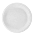 50 ASSIETTES D170 BAGASSE BLC - Bazar - Promocash LA TESTE DE BUCH