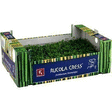 Plantule Rucola CRES CEE 16x80 g - Fruits et lgumes - Promocash Vesoul